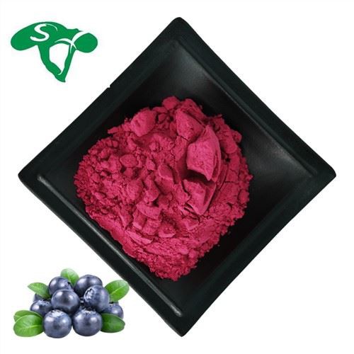 Bulk Organic Blueberry Powder